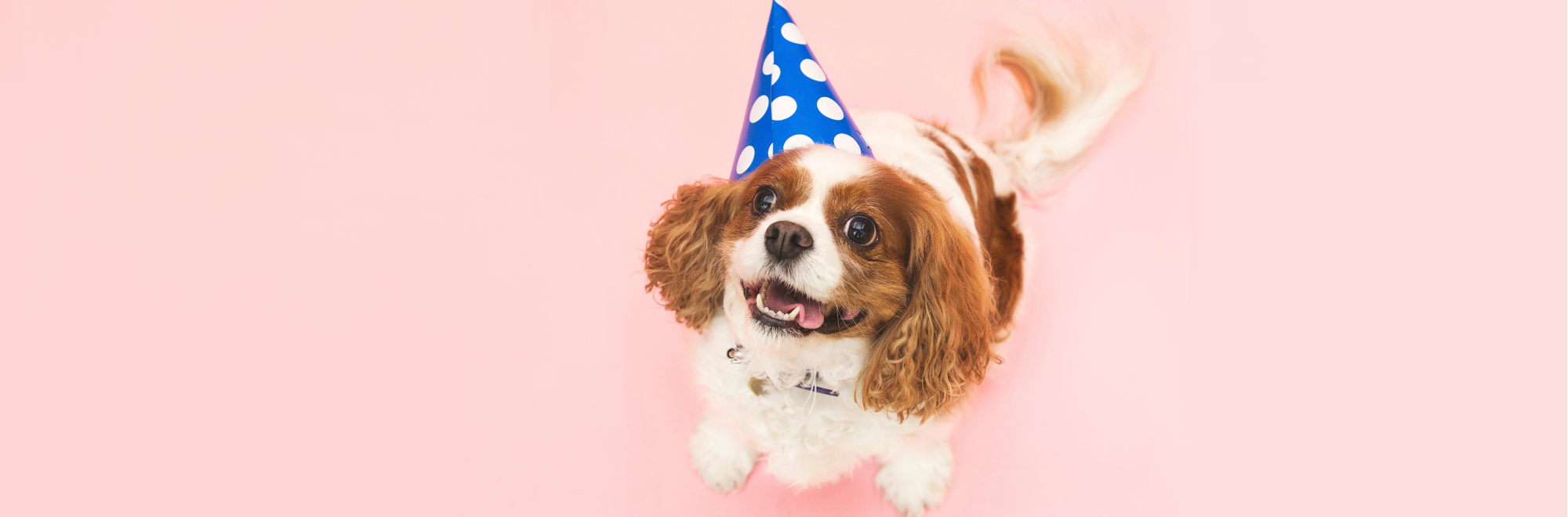 We're Excited to Celebrate with you!!! October 16th! National Credit Union Day!!!  Join us for some CU Swag, new 2026 calendars and some popcorn!